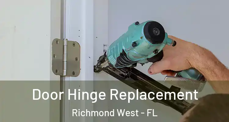 Door Hinge Replacement Richmond West - FL