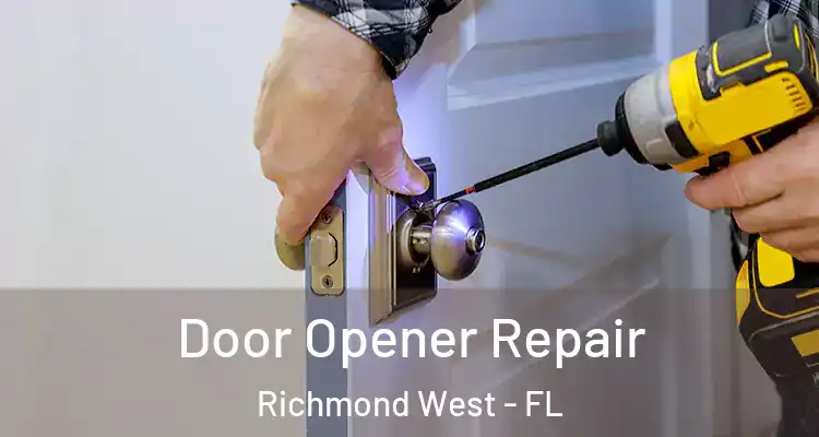  Door Opener Repair Richmond West - FL
