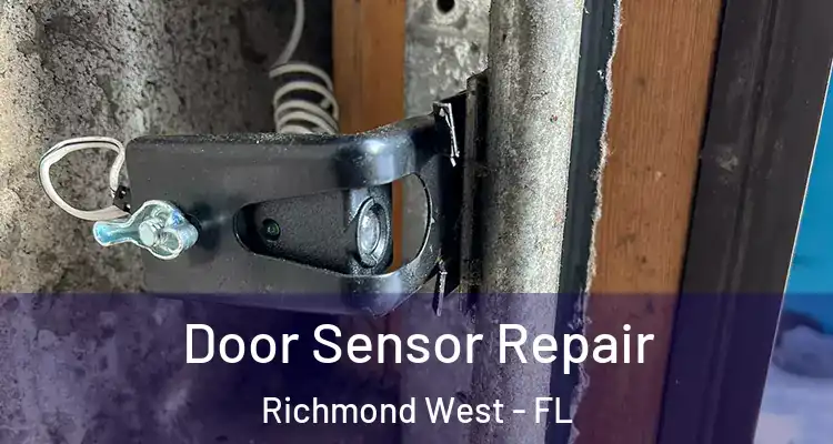  Door Sensor Repair Richmond West - FL