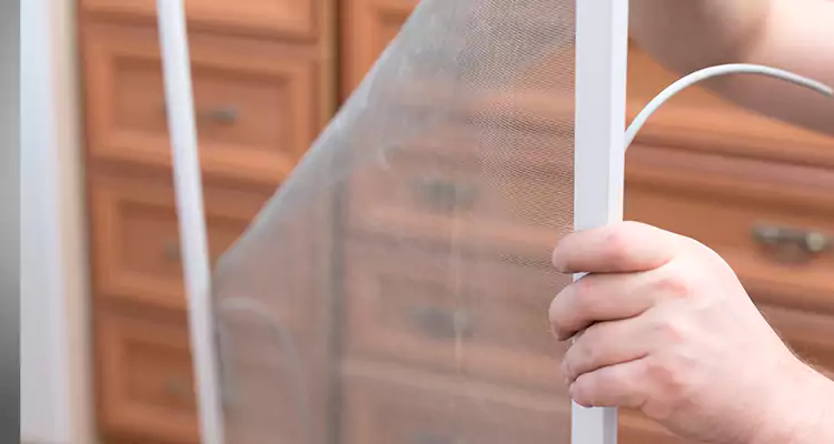 Privacy Mesh Screen Door Installation in Richmond West, FL