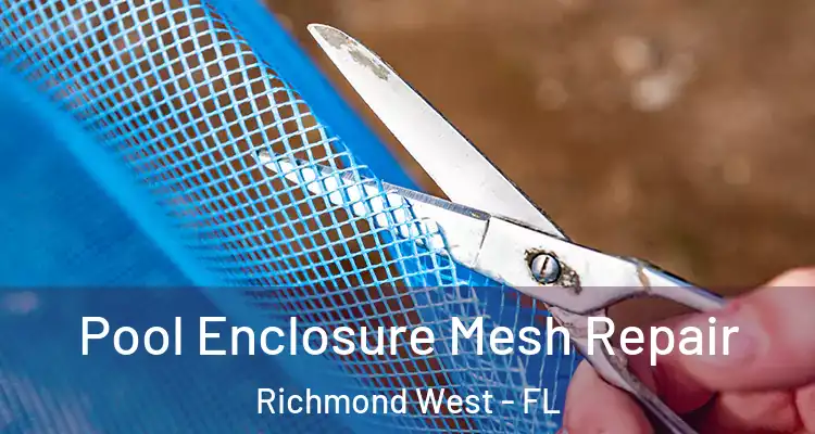  Pool Enclosure Mesh Repair Richmond West - FL