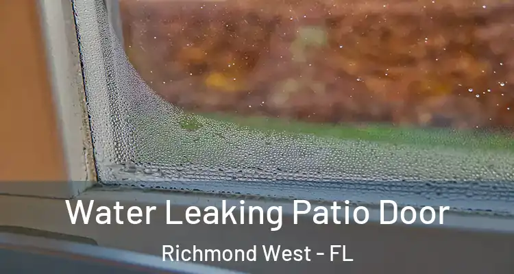  Water Leaking Patio Door Richmond West - FL